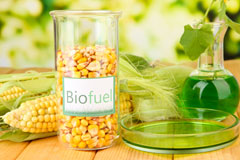 Maesycwmmer biofuel availability